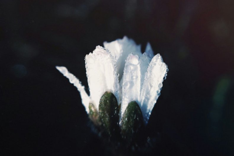 © Unsplash, Demi Kwant.