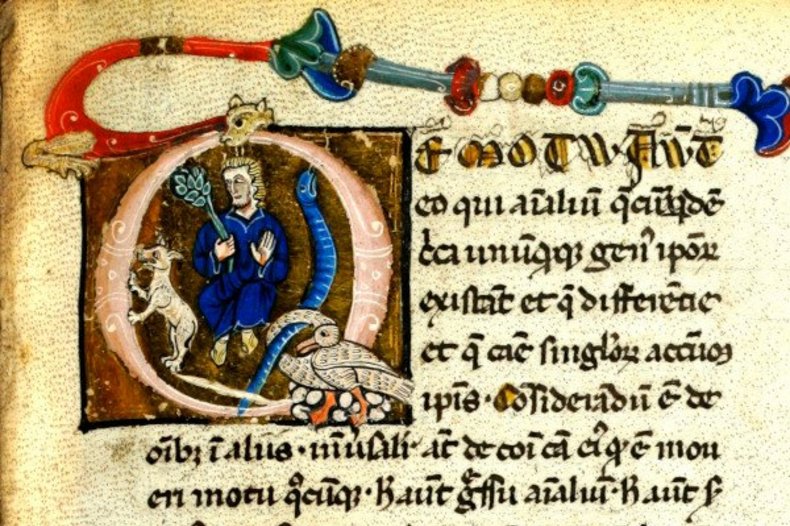Manuscrit d'Albert le Grand du XIIIe siècle./ © CC0/wikimedia